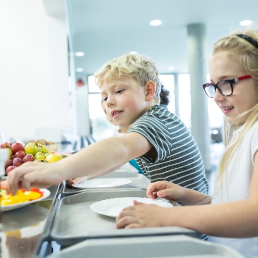 Boissons et alimentation dans les établissements