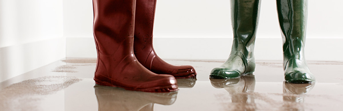 Degats Des Eaux Conseils De Prevention Maif