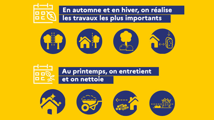 Quand débroussailler votre terrain ?