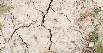 Le risque sécheresse