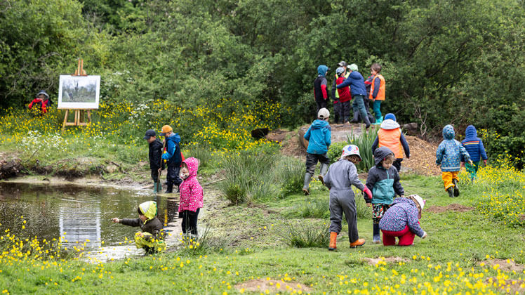 Un groupe d’enfants explore un espace naturel composé d’herbe verte, de buissons et de fleurs jaunes.