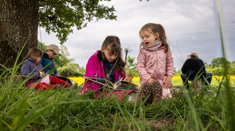 Un groupe d’enfants sont assis dans l’herbe, à l’ombre d’un grand arbre, dans un environnement naturel avec de la verdure et quelques fleurs jaunes. Les enfants sont occupés à lire en plein air.
