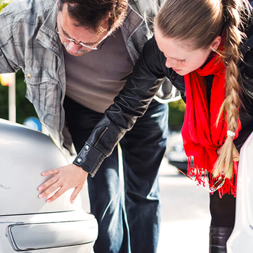 Collision avec un animal : fonctionnement de l'assurance auto - MAIF