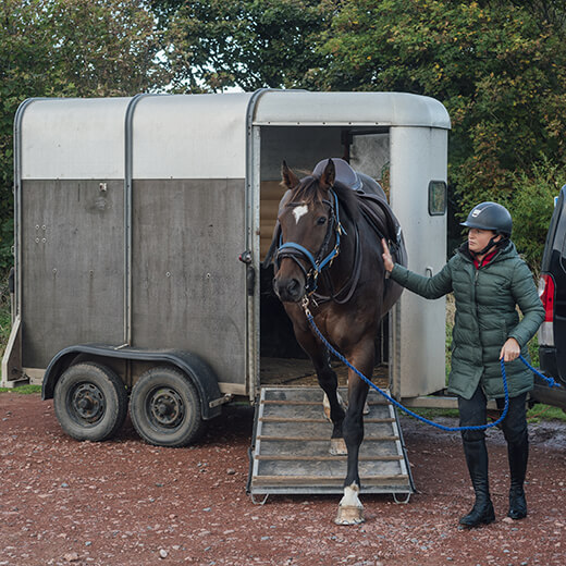 Comment bien assurer son van pour cheval : guide complet et devis