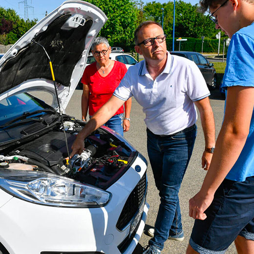 Collision avec un animal : fonctionnement de l'assurance auto - MAIF