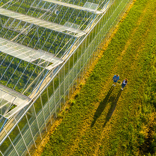 ISR : comprendre l'investissement socialement responsable