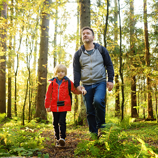 Investir dans une forêt