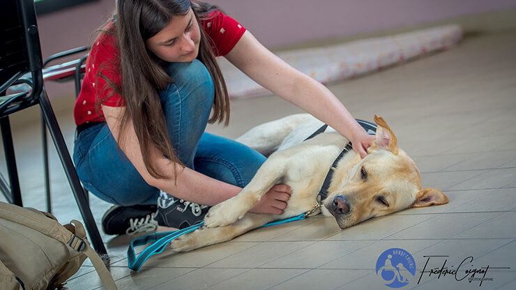 La maîtresse avec son chien Sonate