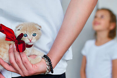 Animaux de compagnie