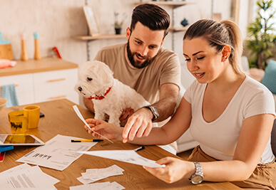 Assurer votre animal