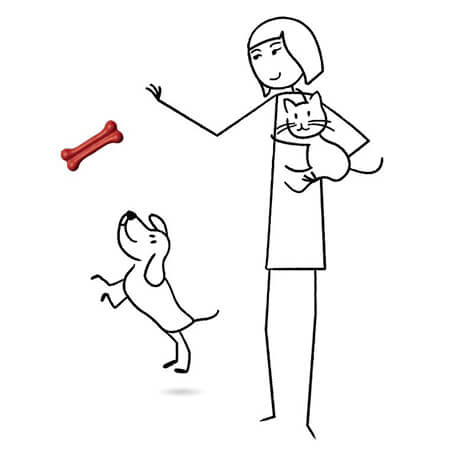 Assurance chien chat