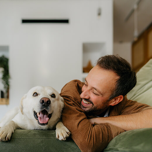 Mutuelle pour animaux : combien ça coûte et comment choisir ? 