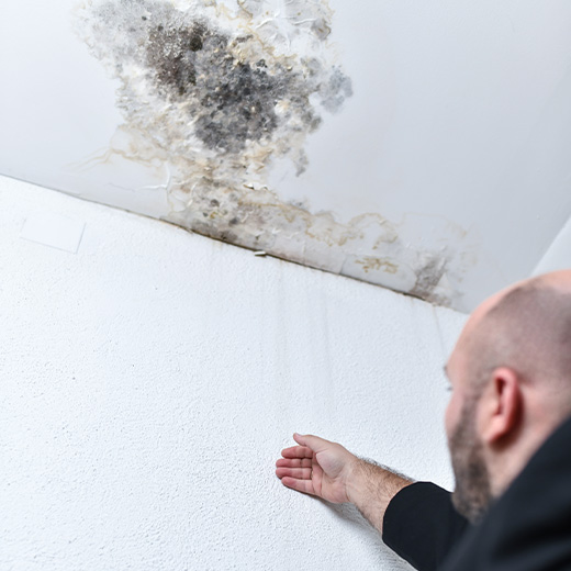 Taches d'humidité au plafond : comprendre la prise en charge et les responsabilités par votre assurance