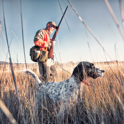 Comment sécuriser la pratique de la chasse ?